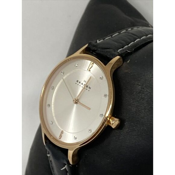 Skagen Anita SKW2151 Women\'s Black Leather Analog Dial Quartz Wrist Watch JK591 main image 4